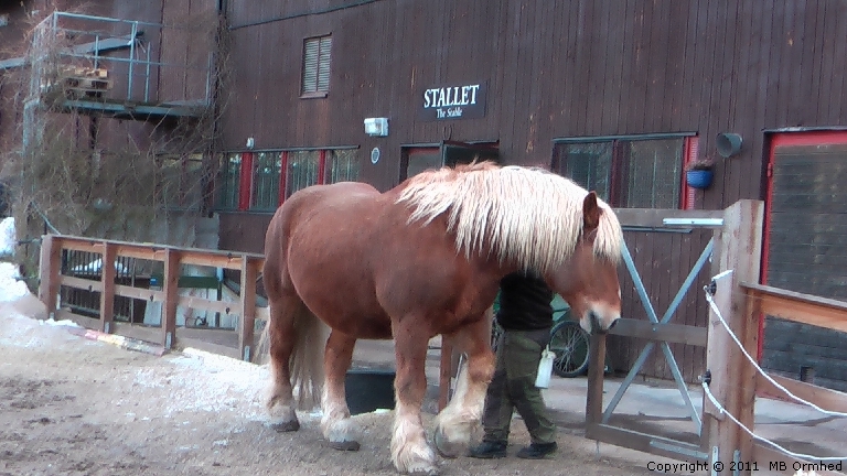 En hst p Skansen