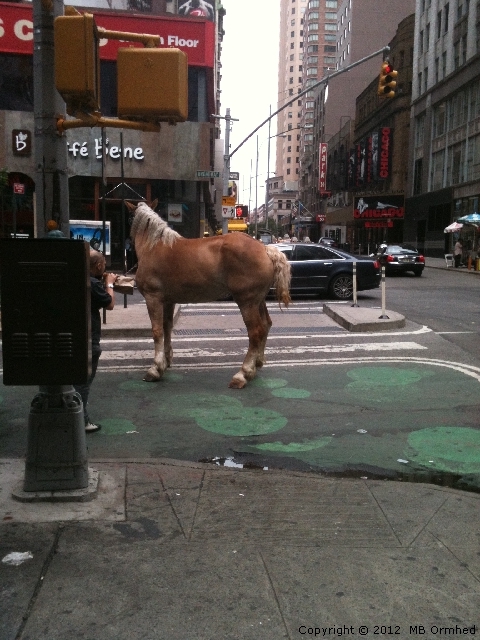 En hst p Broadway i New York.