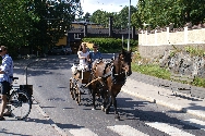 Hst och vagn, vid Waldemars udde.
Bilden tagen: 2009-08-09
Publicerad: 2010-01-31