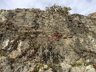 Klippvgg med vxtlighet, vid Grndal.
Bilden tagen: 2014-09-27
Publicerad: 2014-11-16