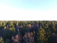 Skog, fotograferad i trdtoppshjd vid Kymlinge, Sundbyberg.
Bilden tagen: 2015-11-22
Publicerad: 2015-12-13