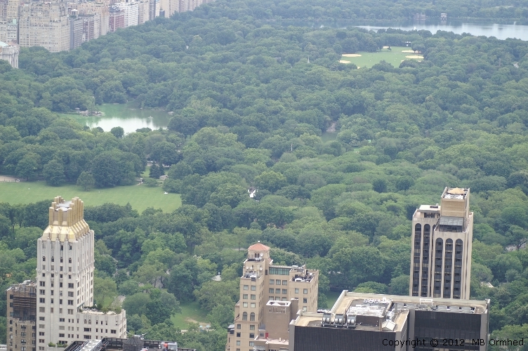 Central park, NY, NY