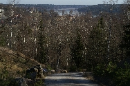 Naturen kring Ekebyhovsbacken p Eker uppskattas av motionrer och andra som gillar att strva runt i skog och mark. Bilden tog jag p vg ner frn backen.
Bilden tagen: 2009-04-11
Publicerad: 2009-10-18